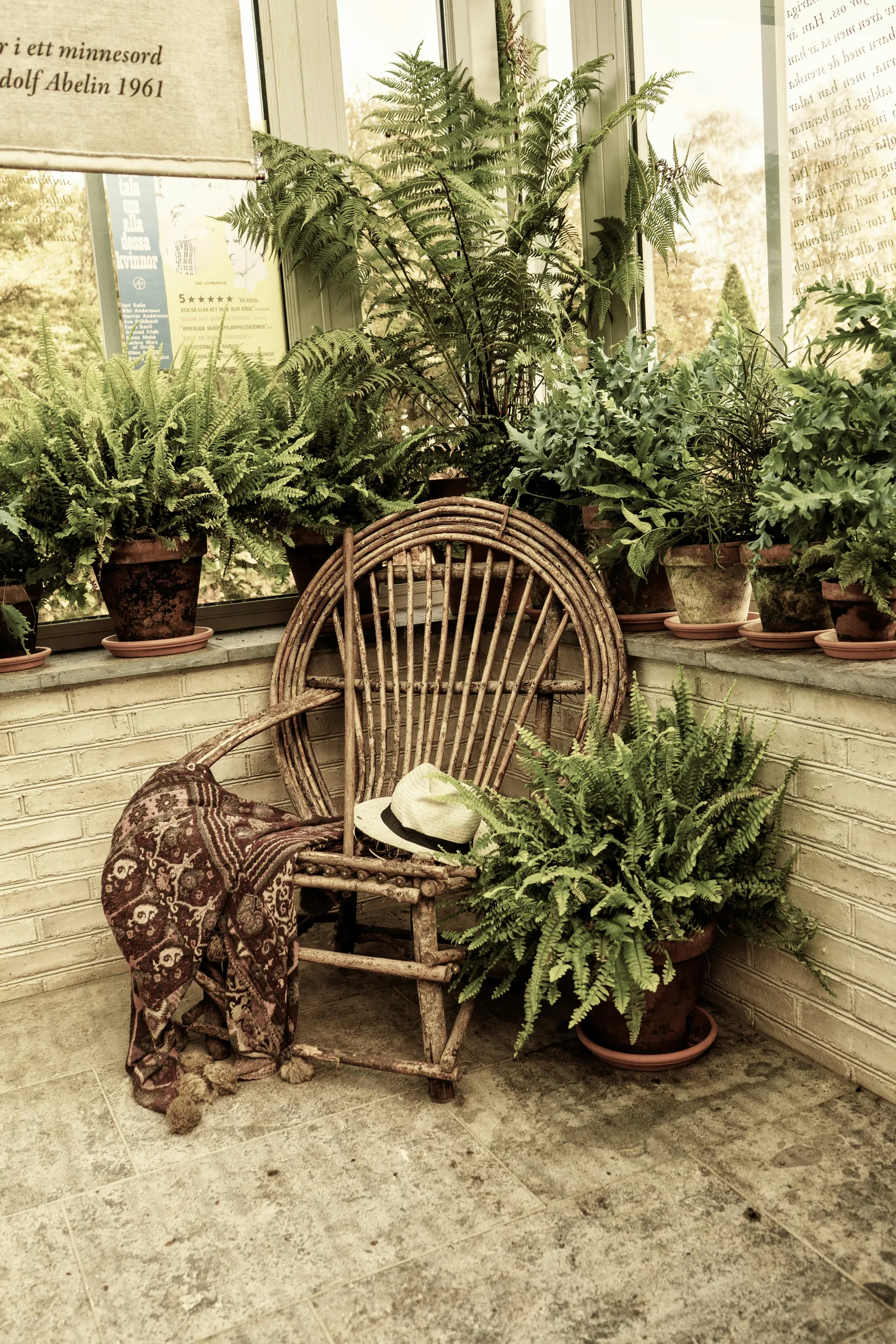 Pasillo del centro de jardinería lleno de plantas en macetas